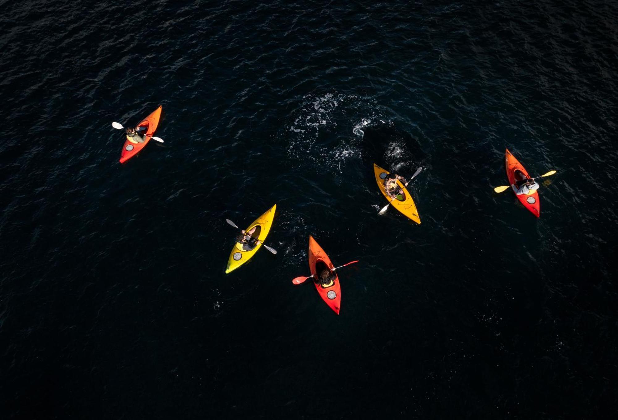 Milford Sound Overnight Cruise - Fiordland Discovery Bagian luar foto